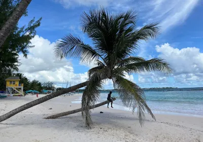 Dover Beach