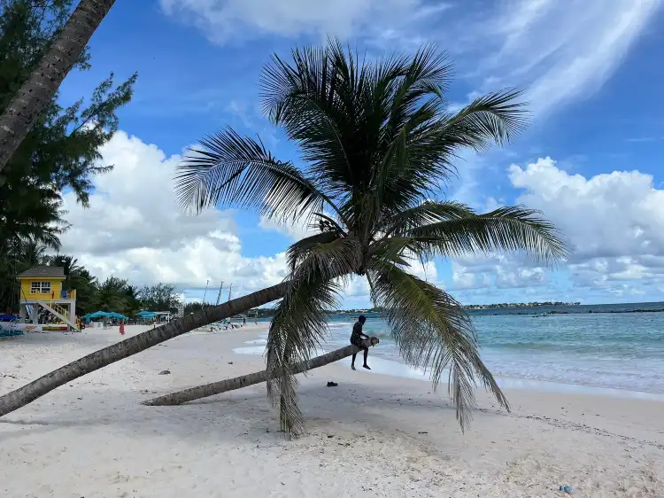 Hotels near Dover Beach