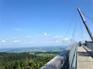 Skywalk Allgau Naturerlebnispark