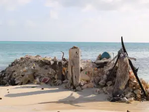 Carenero Island