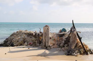 Carenero Island