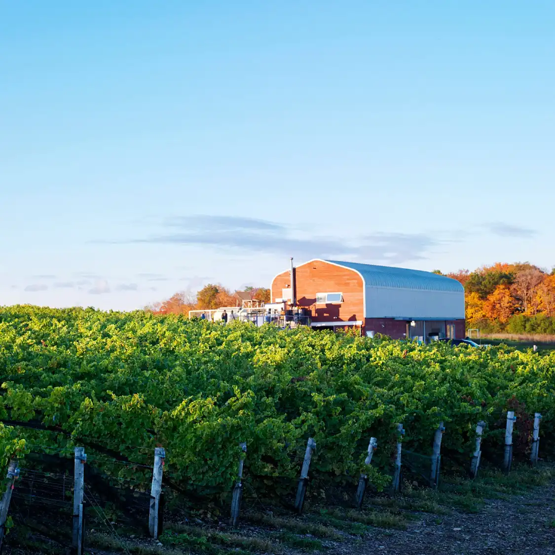 Hotel dekat Norman Hardie Winery