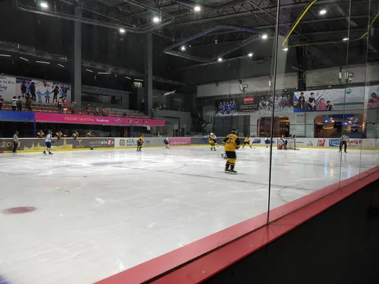 4_The Rink Ice Arena