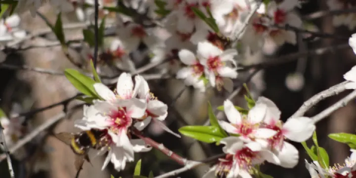Parque de la Quinta de los Molinos