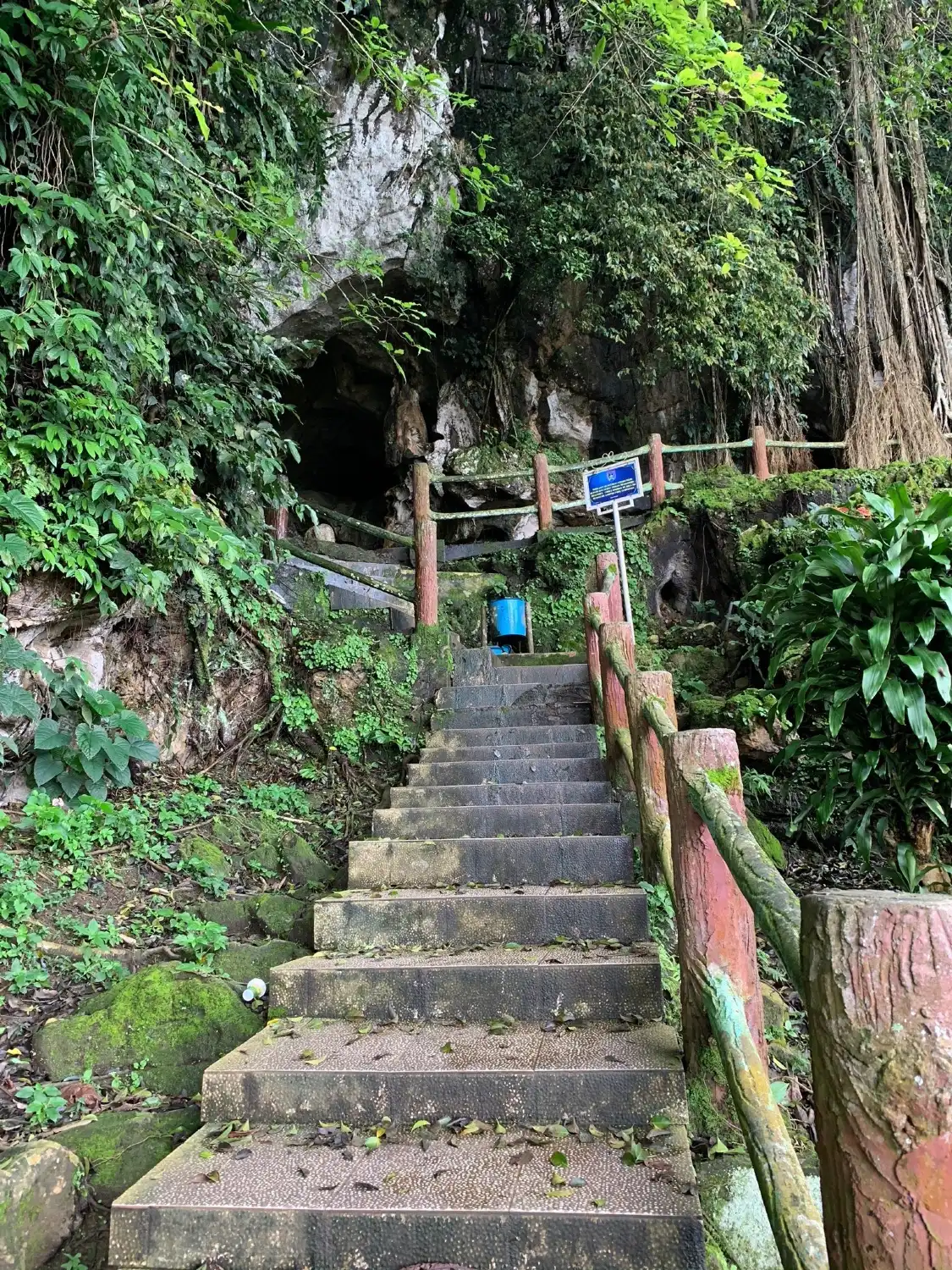 Hotel dekat Ngalau Indah