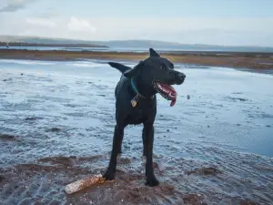 Haverigg Beach