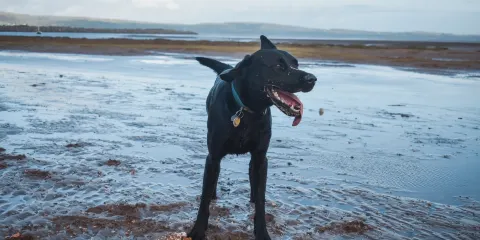 Haverigg Beach