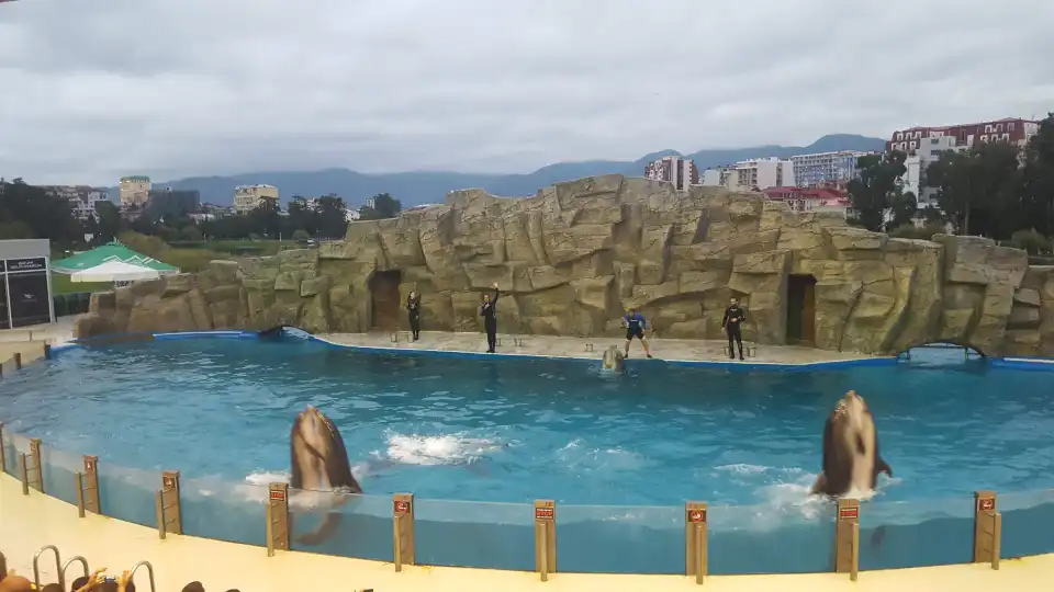 4_Batumi Dolphinarium