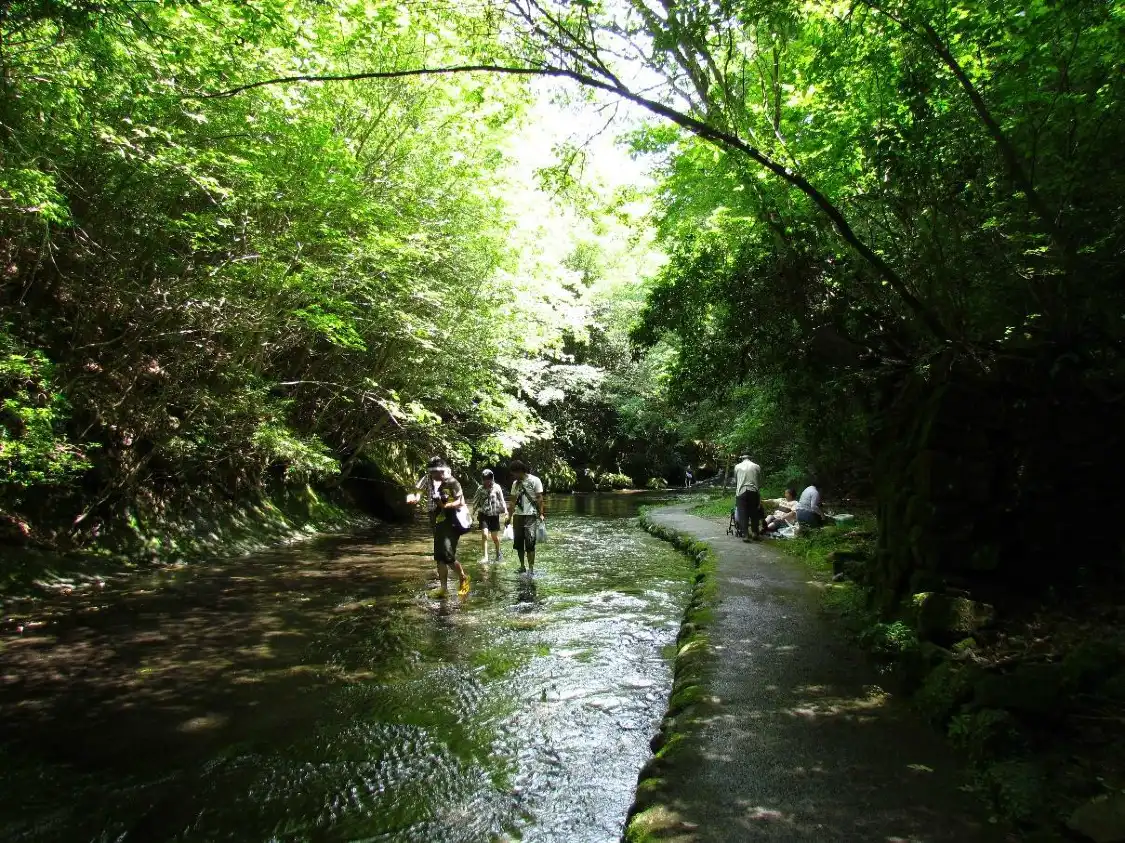 Hotels near Takkiri Ravine