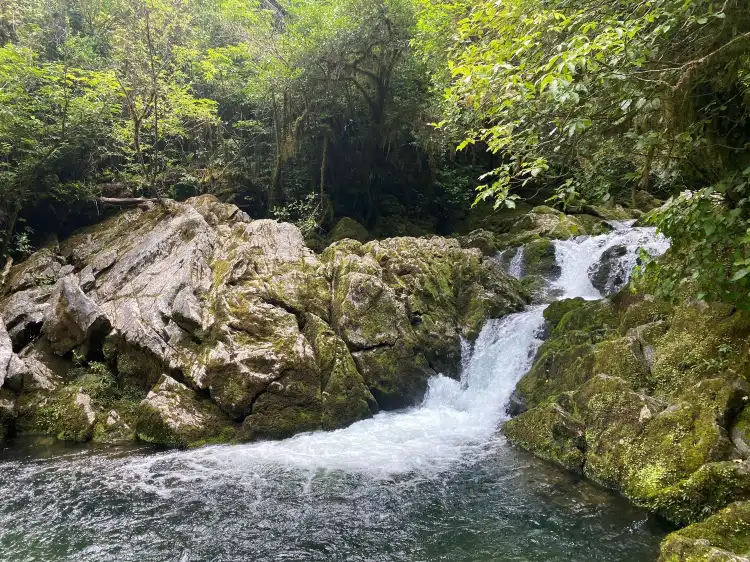 Riwaka