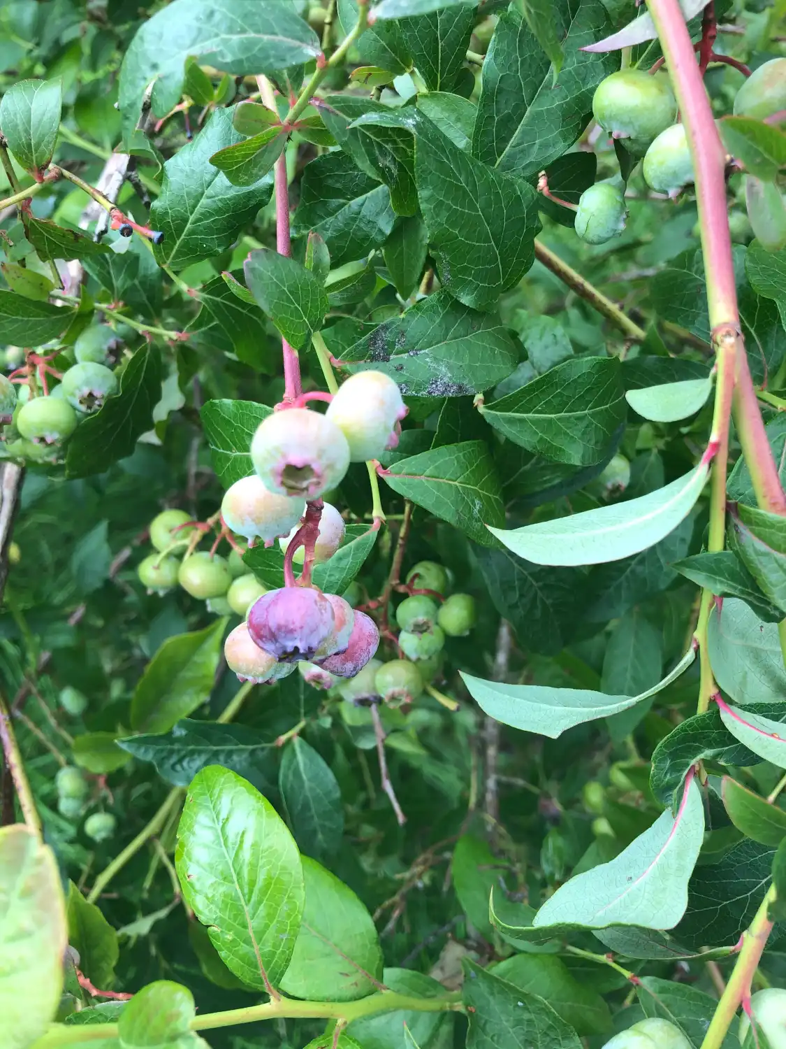 Hotels near New Mills Community Orchard