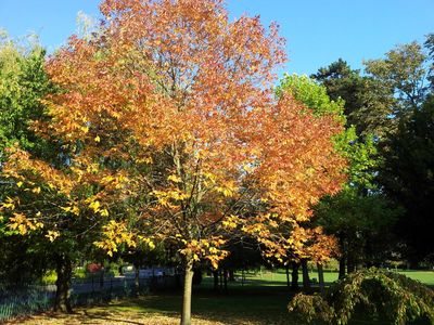 John Coles Park
