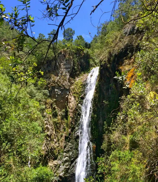 Constanza