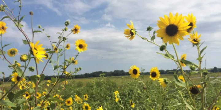 Baker Wetlands Discovery Center