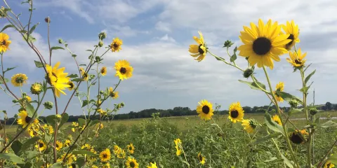Baker Wetlands Discovery Center