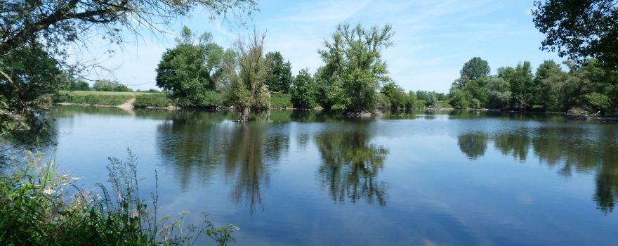 Saint-Remy-en-Rollat