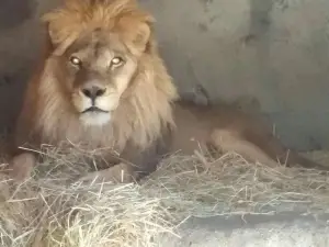 Bioparque Quillon