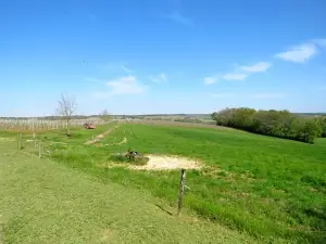 Domaine de Pellehaut