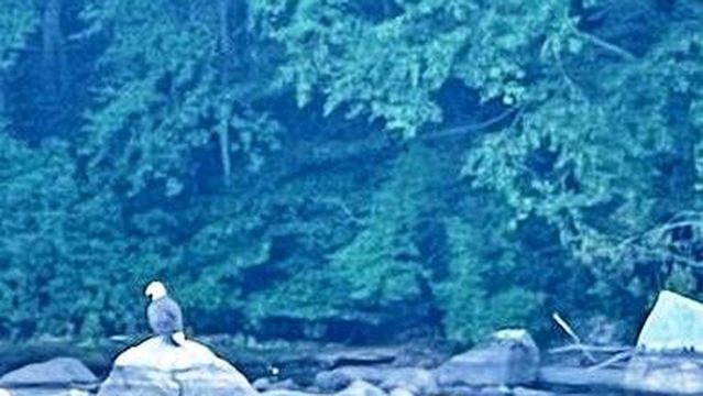 Bear Mountain Reservation