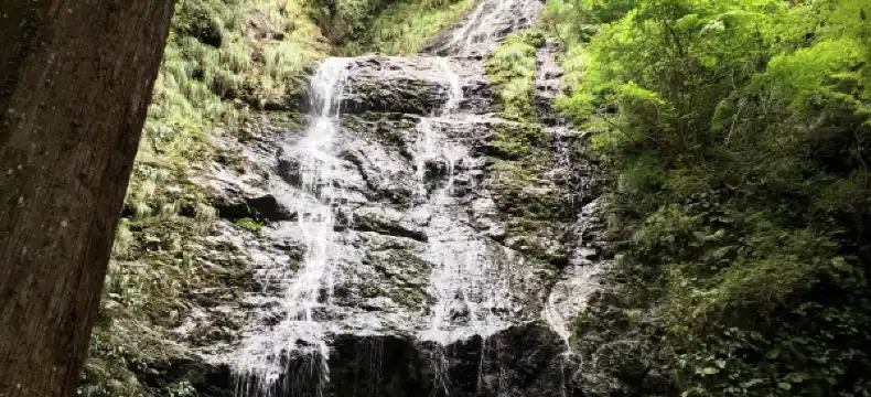 佐用町のホテル