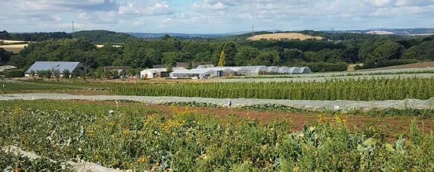Stanleys Farm Shop & Pick Your Own