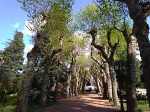 Jardín Botánico-Artístico de Padrón