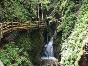 Dr. Vogelgesang Klamm