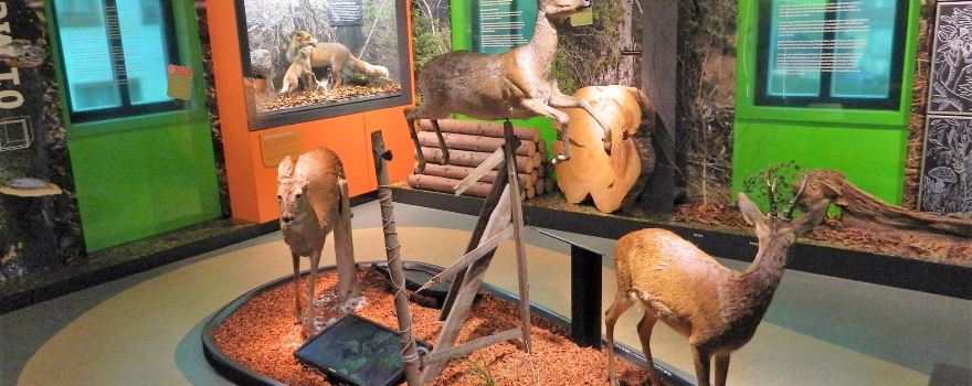 House of Nature Goldisthal