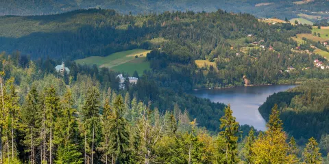 Jezioro Czernianskie