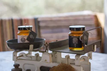 MoKa honey Stories tour
