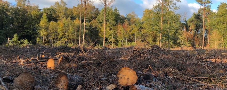 Beek Gem Montferland