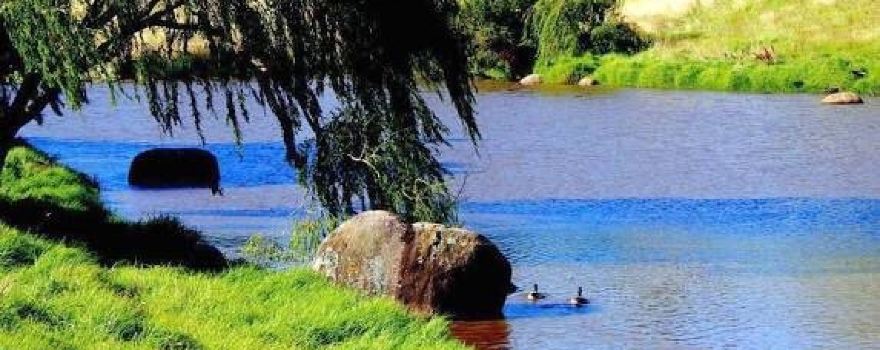 Greenvale Reservoir Park