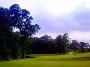 Black Bear Golf Club
