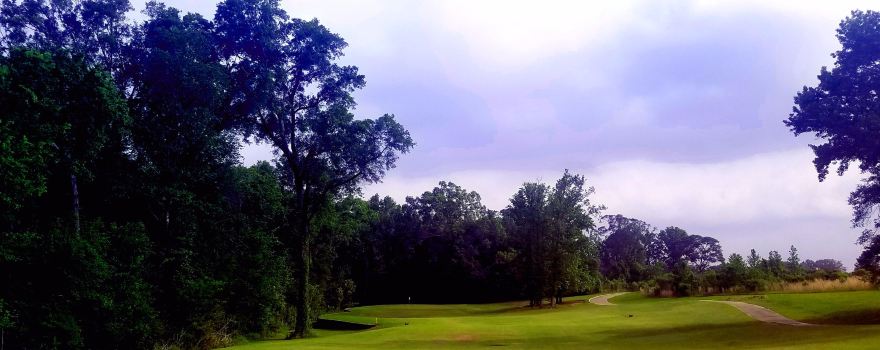 Black Bear Golf Club