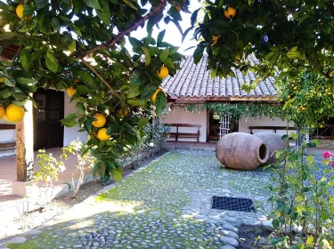 Chillán