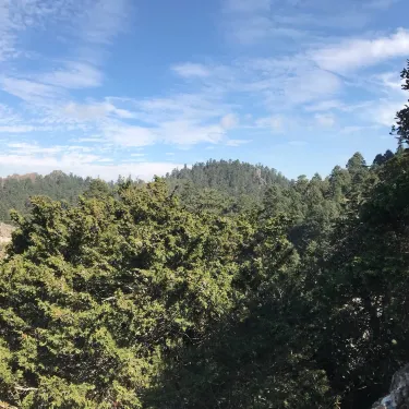 Las Ventanas