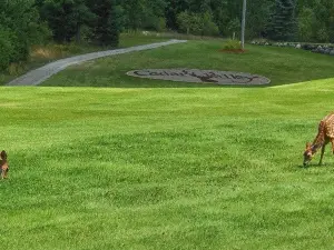 Cedar Valley Golf Club