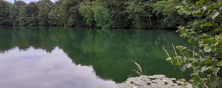 Rensinger See