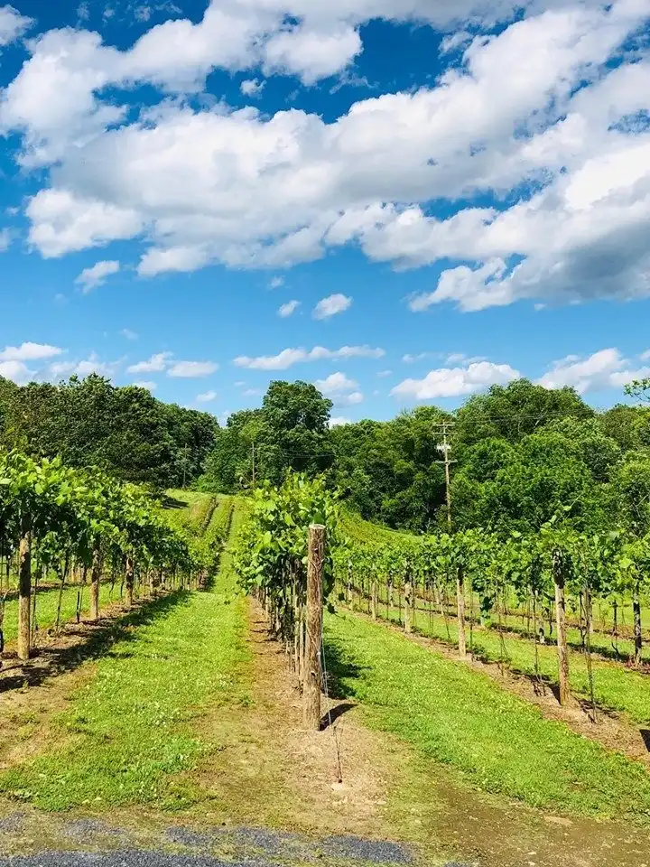 Stroud Township