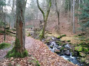 Theresa valley