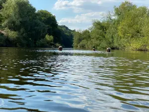 River Wye