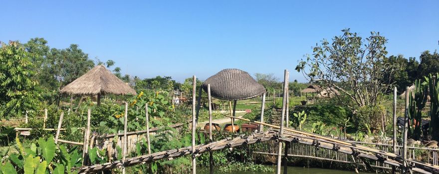 Ginger Farm