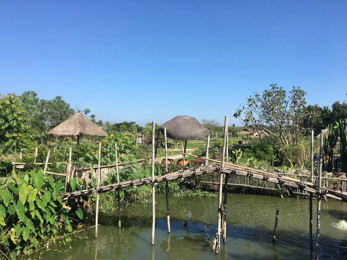 Hotels near Ginger Farm