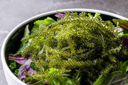 Okinawasumibiryouriten umusannoniwa