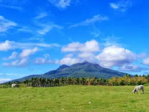 Mt.Panit