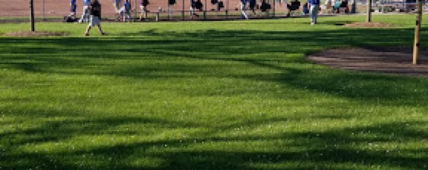 Mann Park