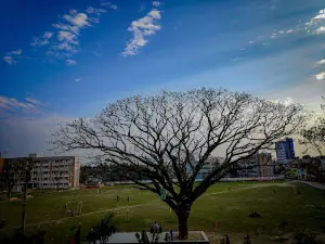 Playground of Madaripur Government College