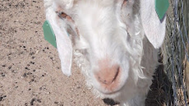 Parc De Jeux Aire Pique Nique Enfants