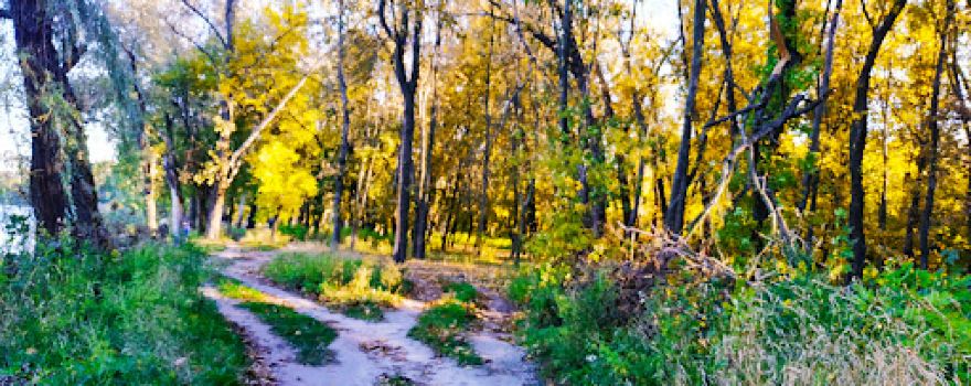 Molodyy Park