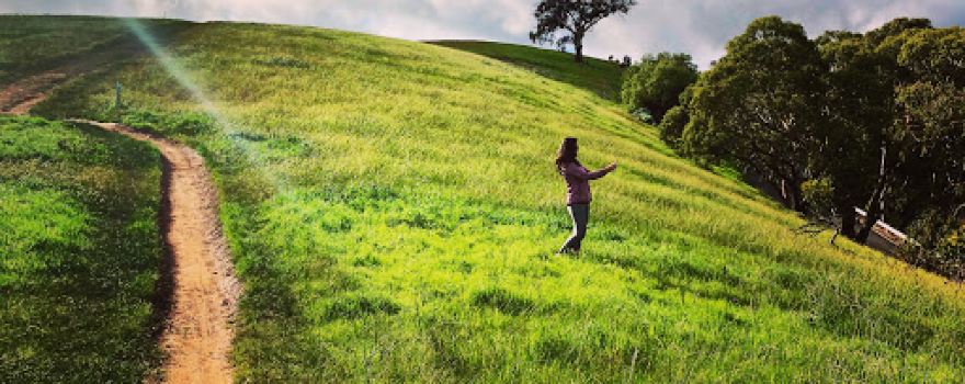 Mount Osmond Reserve